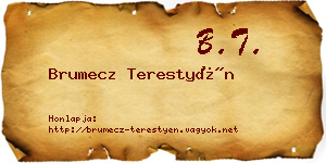 Brumecz Terestyén névjegykártya